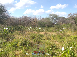 Land for sale Matapato North Kajiado
