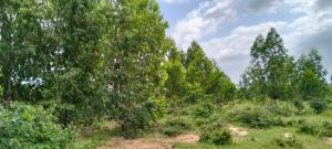 Land for sale Magarini Kilifi