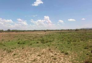 Land for sale Narok Narok