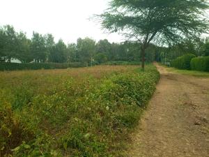 Land for sale Kiserian Kiserian
