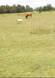 Land for sale Nyandarua Nyandarua