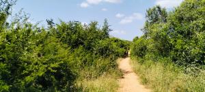 Land for sale Magarini Kilifi