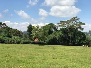 Land for sale Kiambu Kiambu