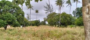 Land for sale Kilifi North Kilifi
