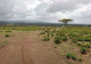 Land for sale Narok Narok
