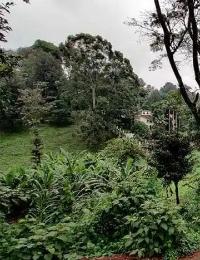 Land for sale Kitisuru Nairobi