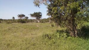 Land for sale Malindi Kilifi
