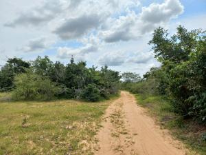 Land for sale Malindi Kilifi
