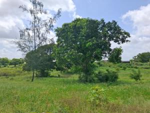 Land for sale Malindi Kilifi