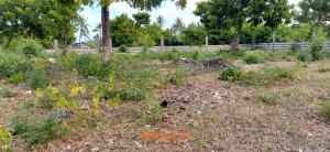 Land for sale Kilifi North Kilifi