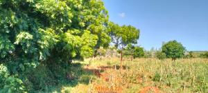 Land for sale Malindi Kilifi