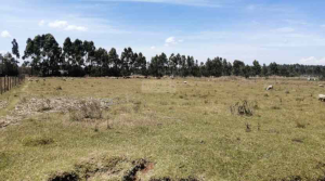Land for sale Eldoret North Uasin Gishu
