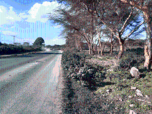 Land for sale Naivasha East Nakuru