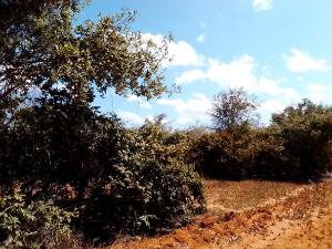 Land for sale Kitisuru Nairobi