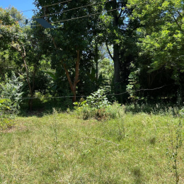Land for sale Kitisuru Nairobi