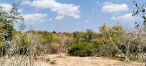 Land for sale Malindi Kilifi