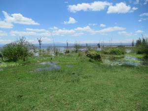 Commercial Land for sale Moi South Lake Rd, Naivasha East Nakuru