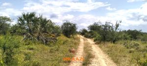 Land for sale Lamu West Lamu