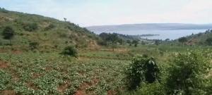 Land for sale Kakira masoli jinja road  Bugembe Jinja Eastern