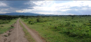 Land for sale Naivasha East Nakuru