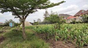 Land for sale Ruiru Kiambu