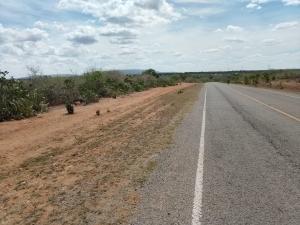 Land for sale Magarini Kilifi