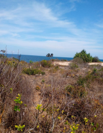 Land for sale Funzi Island Kwale, South Coast, Mombasa Island Mombasa