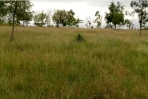 Land for sale Kinangop Nyandarua