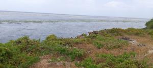 Land for sale Watamu Watamu