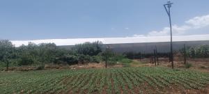 Land for sale Kabuku Tigoni Limuru