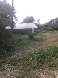 Land for sale Riara ridge Tigoni Limuru