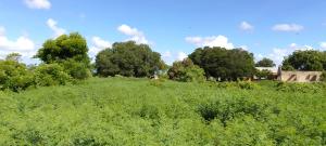 Land for sale Malindi Kilifi