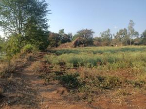 Land for sale Kithimani Machakos