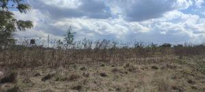 Agricultural Land for sale Onchoronyore Keekonyokie (Kajiado) Kajiado