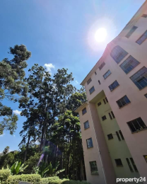 Flat&Apartment for rent Kileleshwa Nairobi