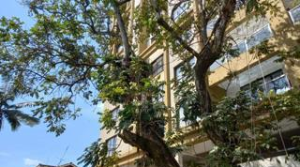 Flat&Apartment for rent Westlands Nairobi