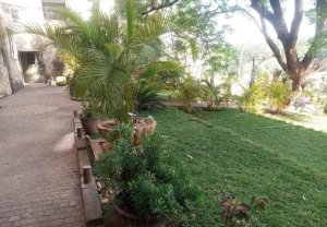 Flat&Apartment for rent Lavington Nairobi