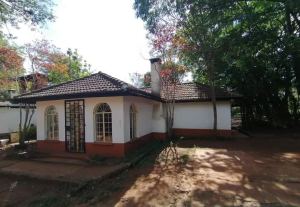 Commercial Properties for rent Karen Nairobi