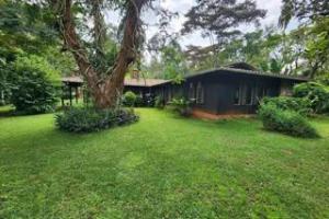 Houses for rent Karen Nairobi