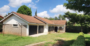 Houses for rent Ngong Rd Nairobi