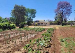 3 bedroom Houses for sale Bellevue , Bulawayo  Bellevue Bulawayo South Bulawayo