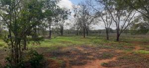 Land for sale Malindi Kilifi