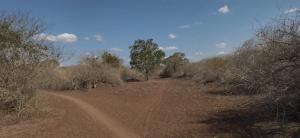 Land for sale Malindi Kilifi