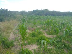 Land for sale Malindi Kilifi