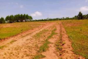 Land for sale Nakasanjja  Gayaza Wakiso Central