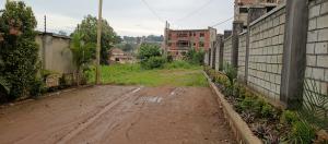Land for sale Namugongo town  Kira Wakiso Central