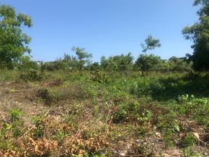 Land for sale Off Diani Link Rd Diani Mombasa