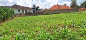 Land for sale Kira road  Kira Wakiso Central