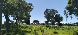 Land for sale Kilifi North Kilifi