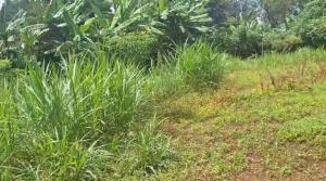 Land for sale Karen Nairobi